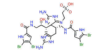 Nagelamide X